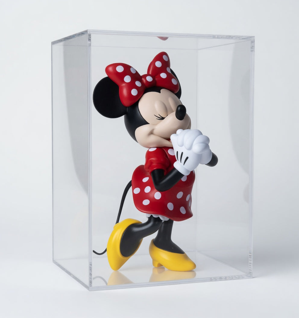 Urdu Disney A Little Wish Series: Mickey & Friends - Blind Box