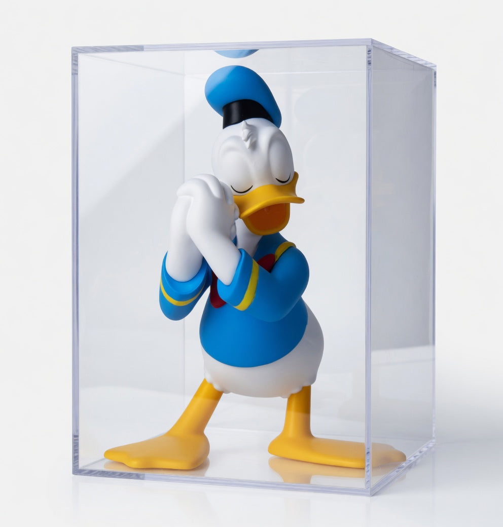 Urdu Disney A Little Wish Series: Mickey & Friends - Blind Box